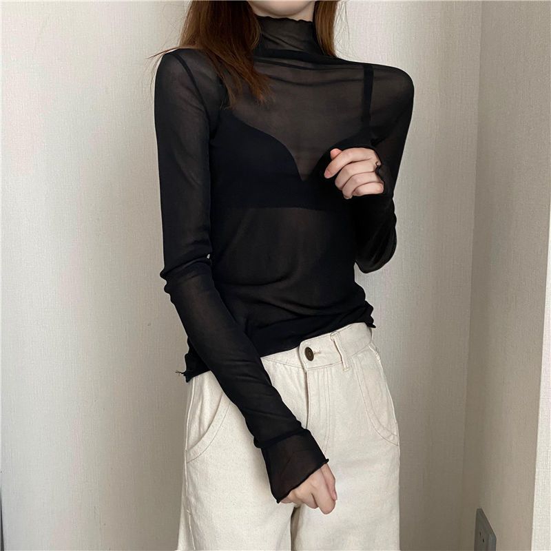 Sheer Mesh Turtleneck Top