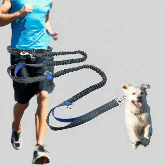 Hands-Free Bungee Dog Leash with Waist Belt
