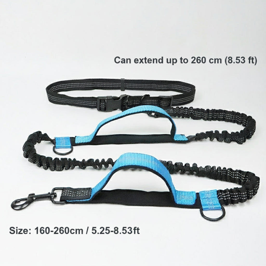 Hands-Free Bungee Dog Leash with Waist Belt
