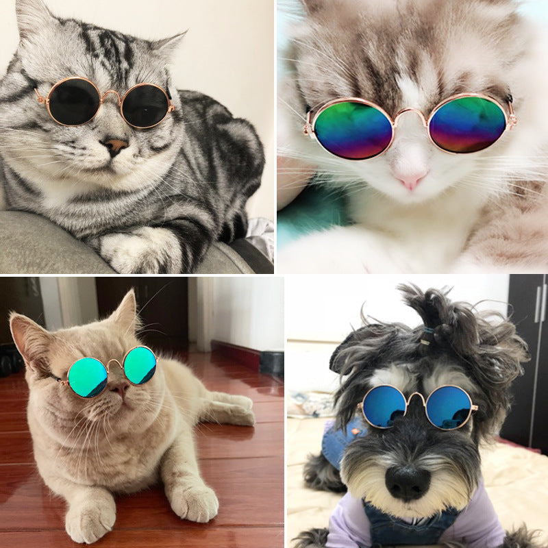 Pet Reflective Sunglasses