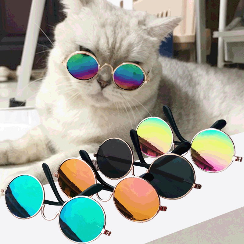 Pet Reflective Sunglasses