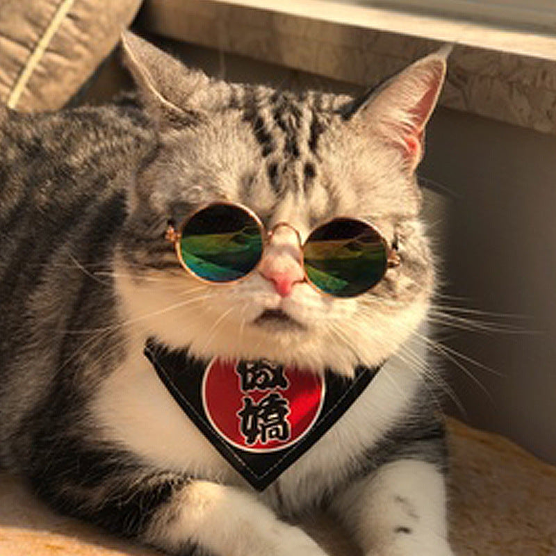 Pet Reflective Sunglasses