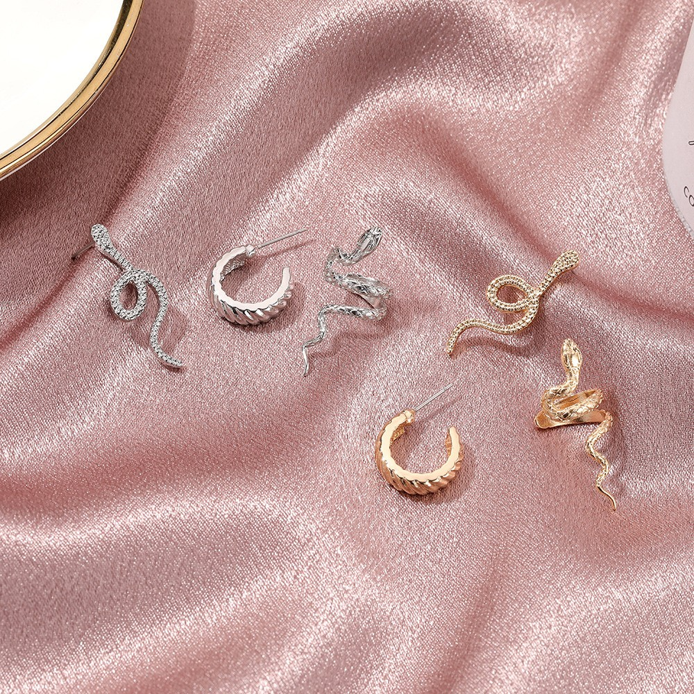 Snake-Shaped Earrings Set
