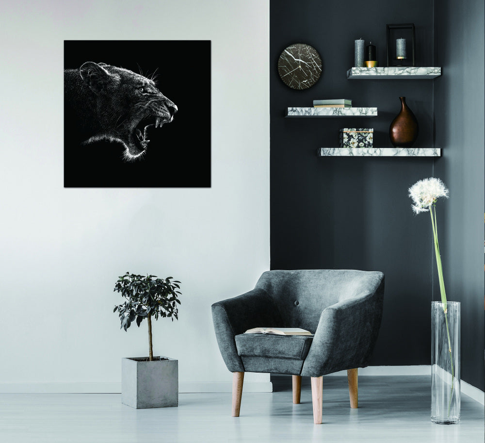 Oppidan Home "Roaring Lioness" Acrylic Wall Art (40"H x 40"W)