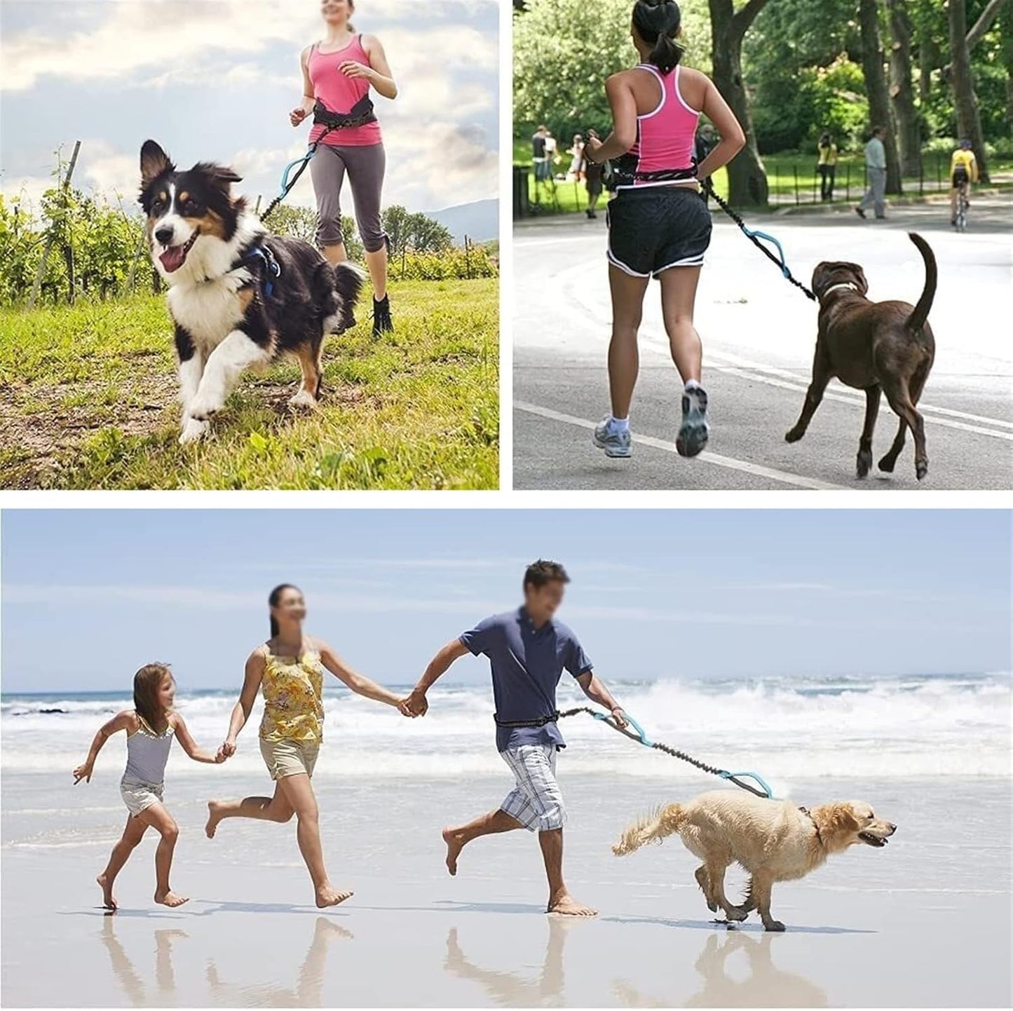 Hands-Free Bungee Dog Leash with Waist Belt