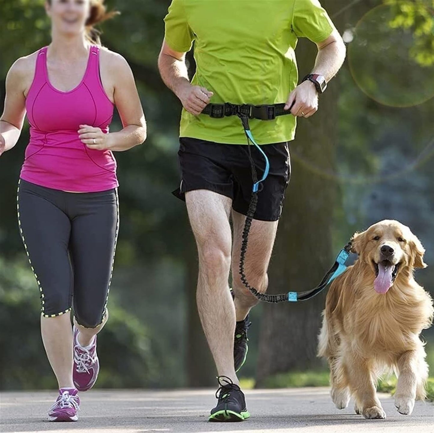 Hands-Free Bungee Dog Leash with Waist Belt