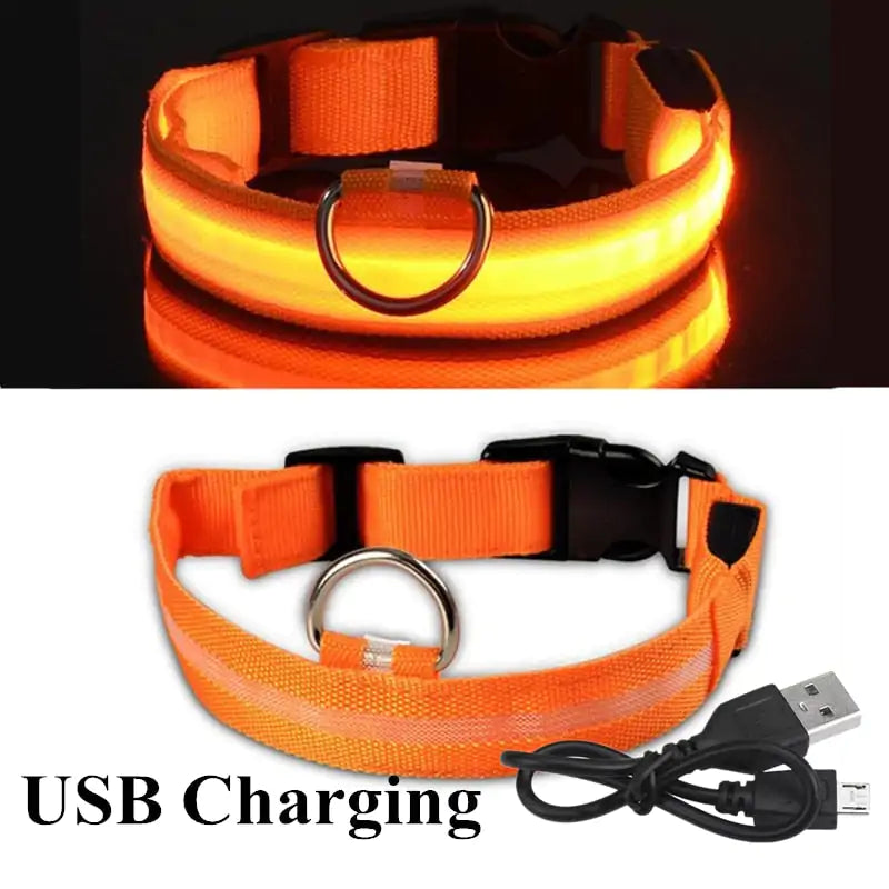 USB/Battery Adjustable LED Pet Collar