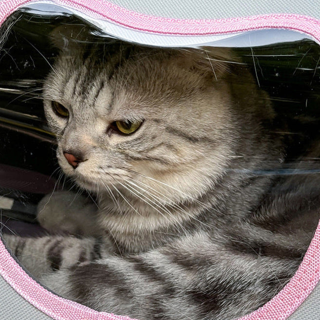 Pet Space Capsule Cat Bag, Portable & Foldable Pet Carrier