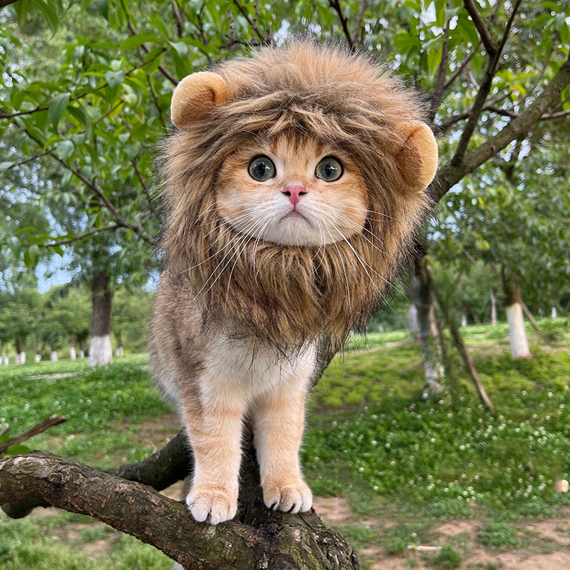 Cat Lion Mane Costume