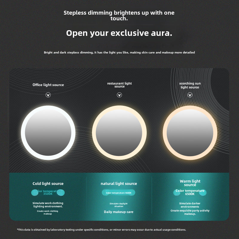 Makeup Case with Detachable LED Mirror