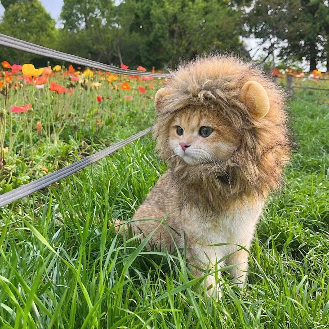 Cat Lion Mane Costume
