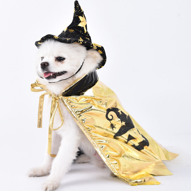 Creative Dog Costumes