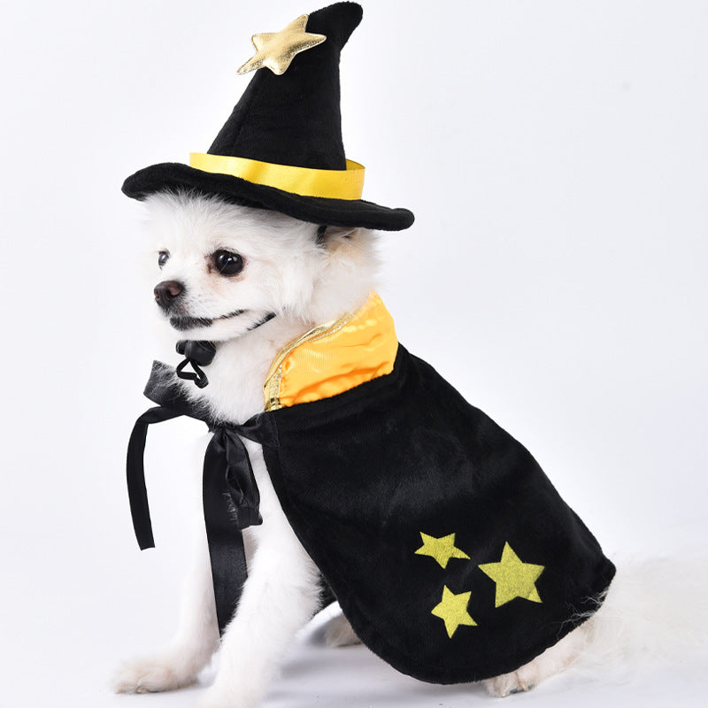 Creative Dog Costumes