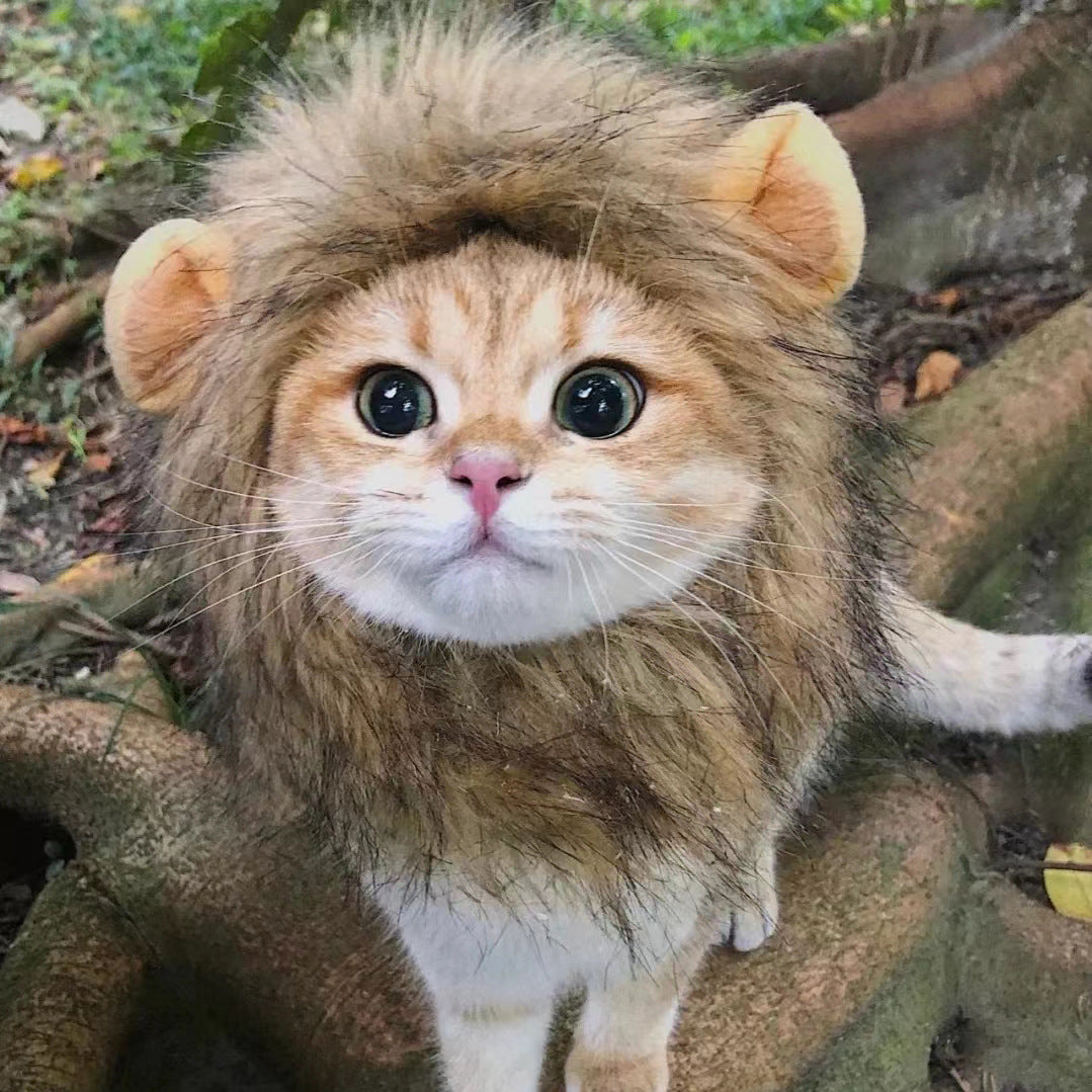 Cat Lion Mane Costume