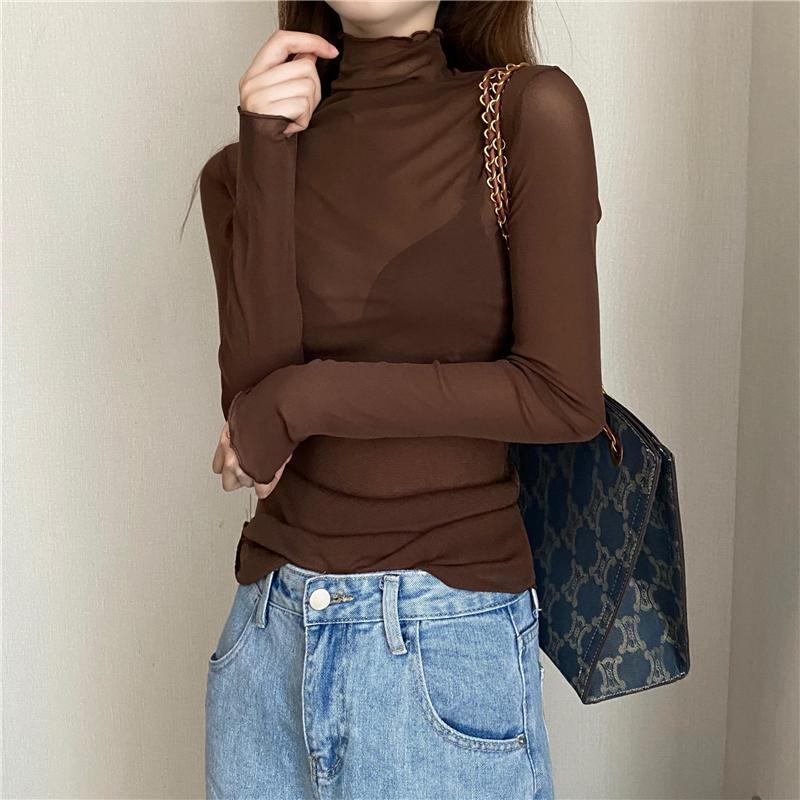 Sheer Mesh Turtleneck Top