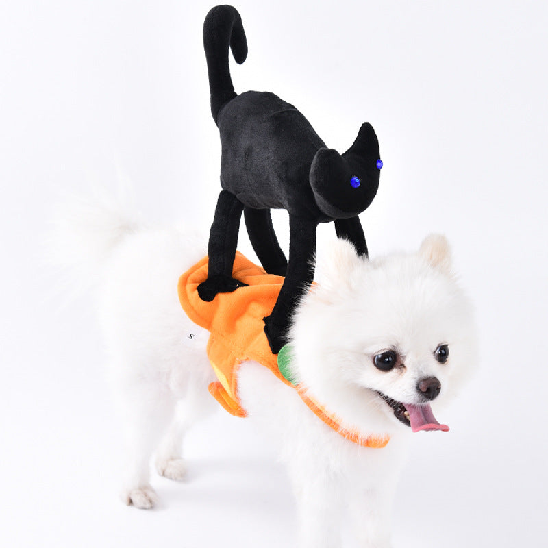 Creative Dog Costumes