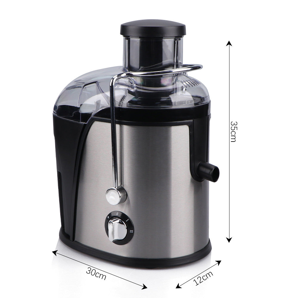 RAF Stainless Steel Electric Juicer