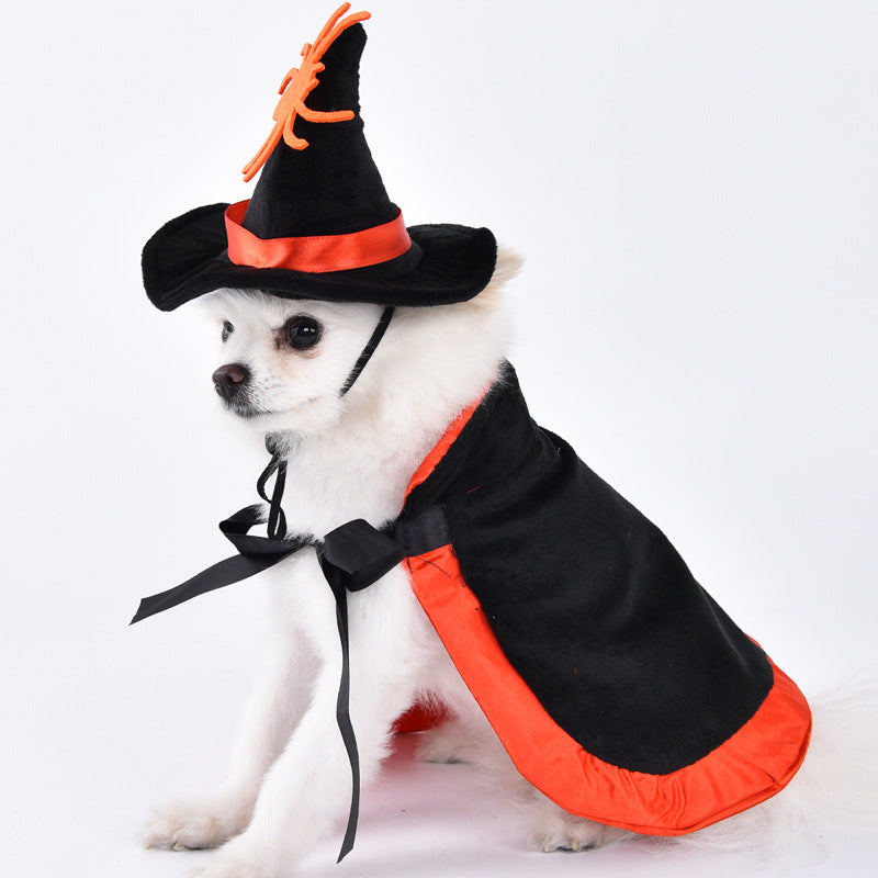 Creative Dog Costumes