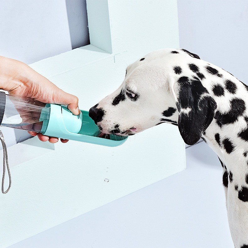 Portable Dog Water Bottle with Filter