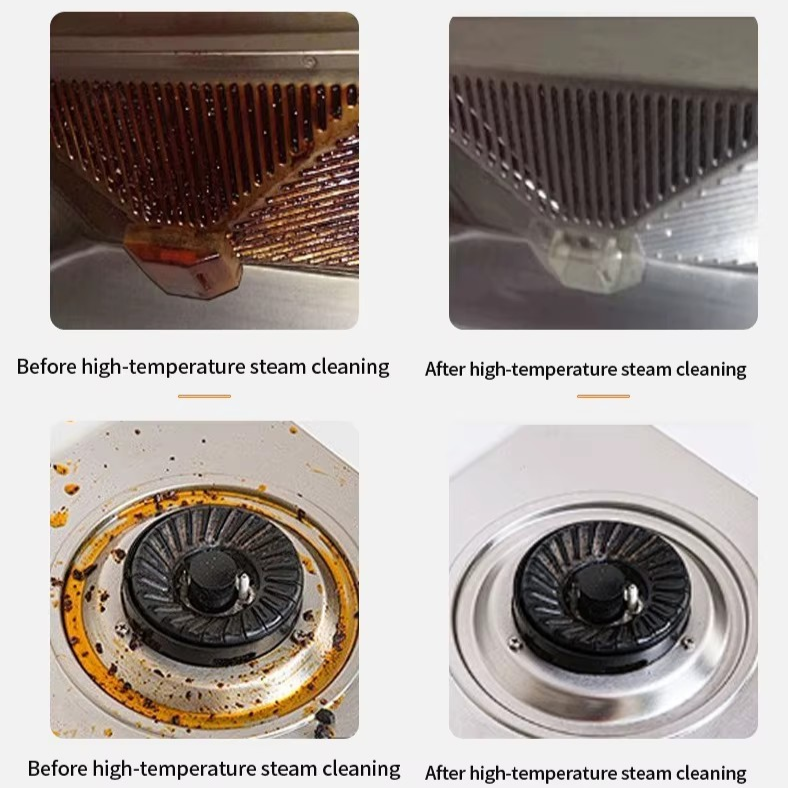 2500W High-Pressure Steam Cleaner & Sanitizer