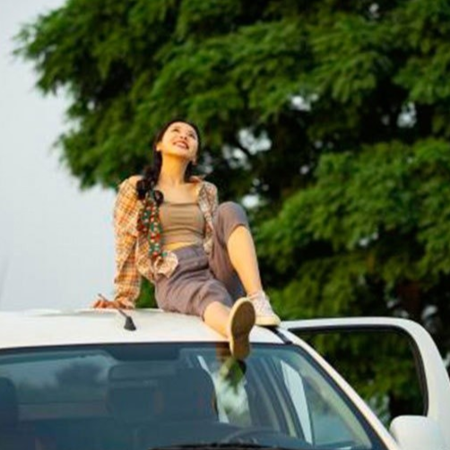 2-in-1 Folding Car Door Latch Hook Step, Rooftop Access Pedal