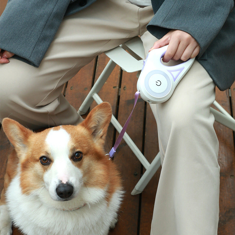 Retractable Dog Leash with Built-in LED Lights