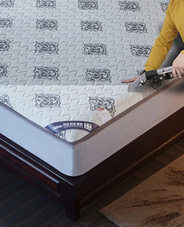 10L Steam Carpet and Upholstery Extractor, Commercial & Residential