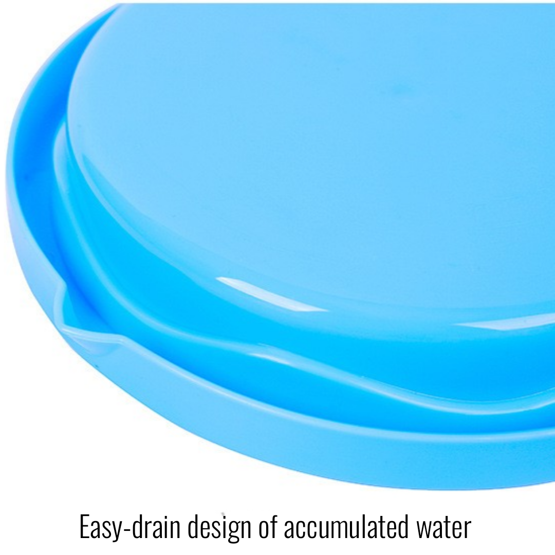 Salad & Fruit Cutter Bowl