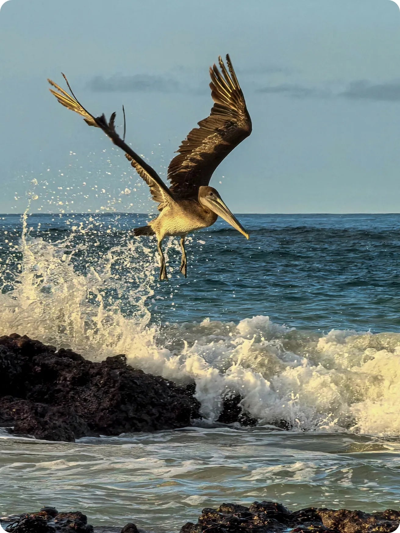 Huawei Pura 70 Pro 5G HarmonyOS 4.2 Smartphone, 8/12/16GB RAM, 128/256/512GB/1TB ROM, Unlocked, Water Resistant